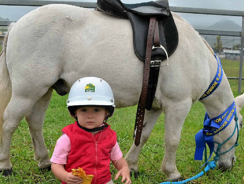 GROUNDED: Little Erin Fraser, 2, with her horse Bonzai after her first day competing at the Killarney Show. GROUNDED: Little Erin Fraser, 2, with her horse Bonzai after her first day competing at the Killarney Show.